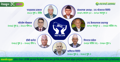 ३७ वर्षपछि विरासतको लडाइमा नेफ्स्कून