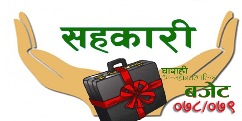 घोराही उपमहानगरपालिका बजेट : प्याजको बिउमा ६० प्रतिशत अनुदान