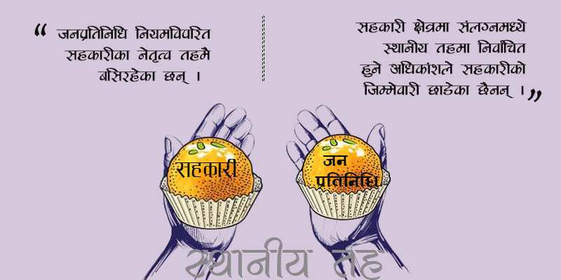 ऐन उल्लंघन गर्दै जनप्रतिनिधि सहकारीका कार्यकारी भूमिकामा, नियमक निकाय मौन 
