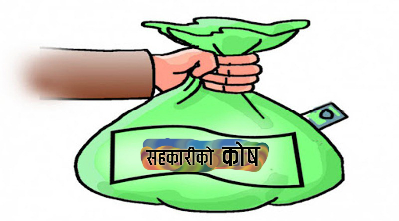 स्थिरीकरण कोष के र किन ?