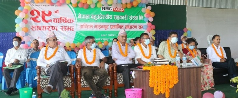 ‘एनएमसीको  ४ प्रतिशतमात्र  उद्देश्य अनुरुपको कारोबार ’