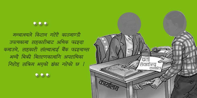 सहकारी किनबेचमा गिरोह नै सक्रिय