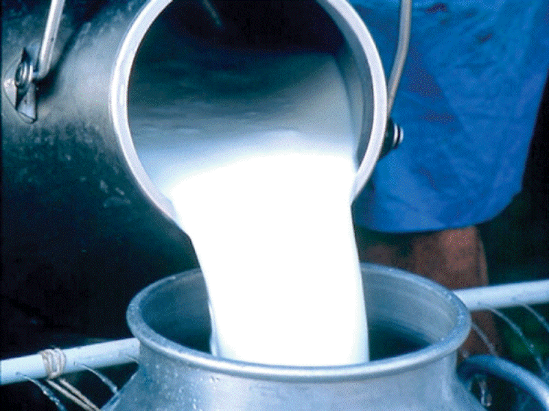 खेर फाल्ने दुध घर चलाउने माध्यम बन्यो