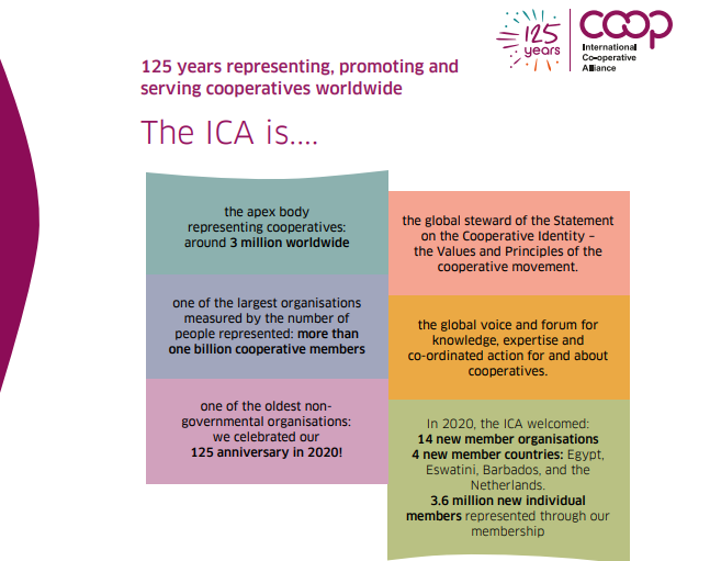 आइसीएको वार्षिक प्रतिवेदन २०२० सार्वजनिक