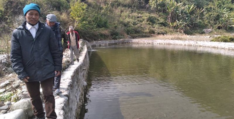 घाम्राङका चार किसान सामूहिक माछापालनमा 