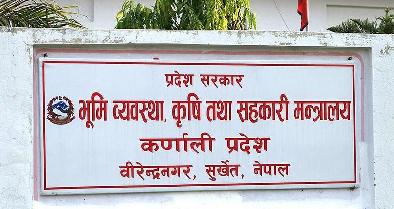 कर्णाली प्रदेशमा कृषिमा बढ्दो आकर्षण, स्याउ खेती धेरैको रोजाइमा 