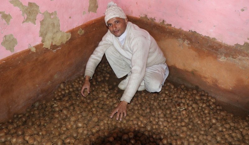 खेती सुरु गर्दा बौलायो भने, अहिले आम्दानी देख्दा लोभ्याउँछन्