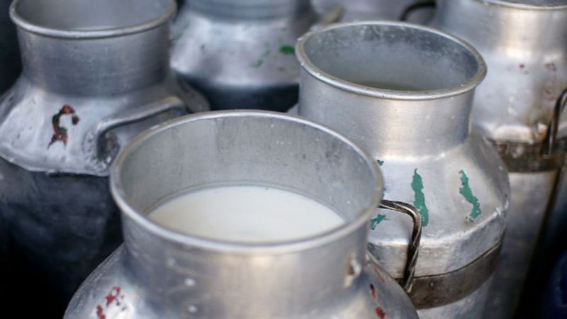 सहकारीद्धारा दूध सङ्कलन केन्द्र सञ्चालन