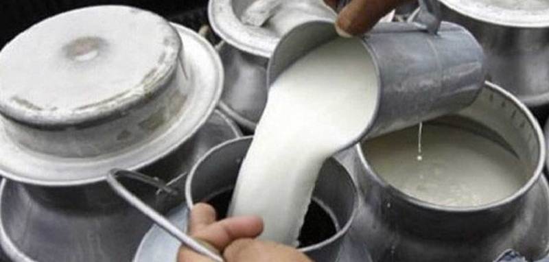 अनुदान लिन दुग्ध सहकारीलाई आवेदन माग