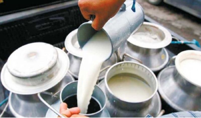 दूधको मूल्यमा डीडिसी र निजी डेरीको विवाद 