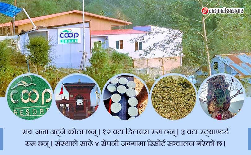 सहकारीको “कोप रिसोर्ट”मा आकर्षण बढ्दै 