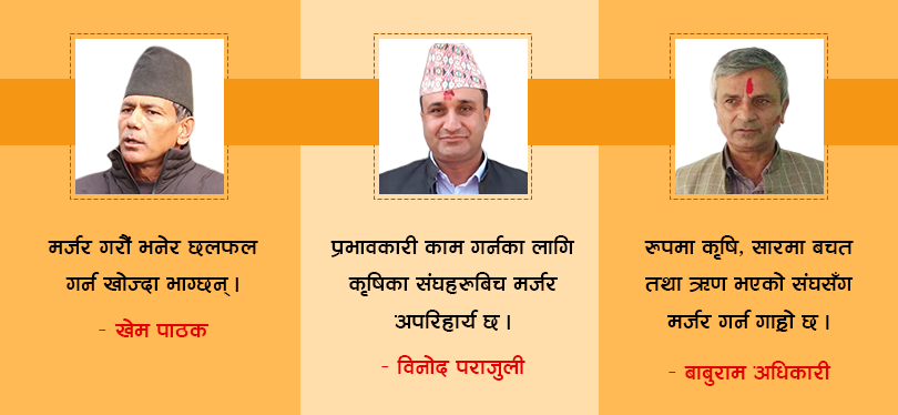 कृषिका केन्द्रीय संघहरुबिच मर्जरको सम्भावना कति ?