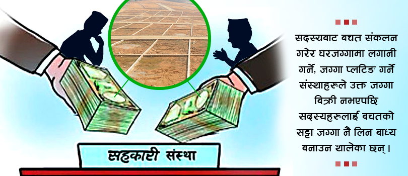 सहकारीमा विकृती : सदस्यलाई बचतको सट्टा जग्गा 