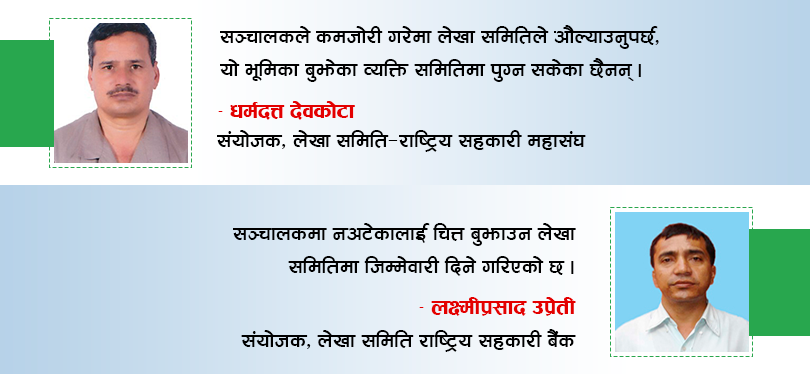 संचालकको छायामा लेखा समिति : भूमिका कमजोर हुँदा सहकारीमा विकृती