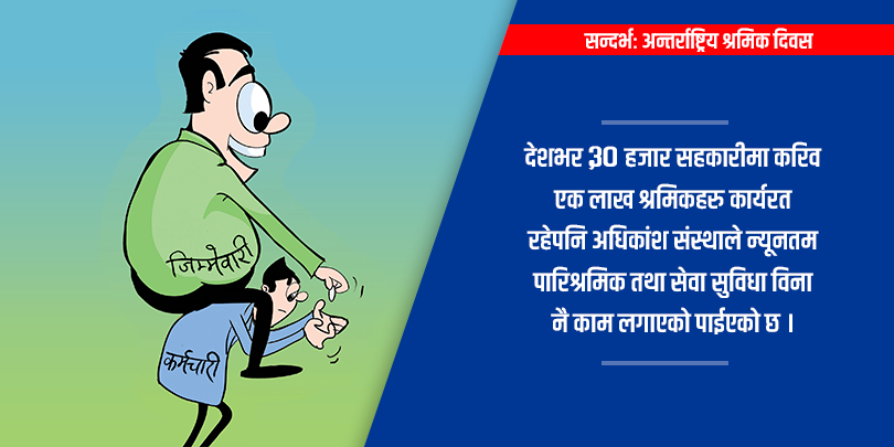 सहकारीका कर्मचारीले पाउँदैनन् न्यूनतम सेवा सुविधा 