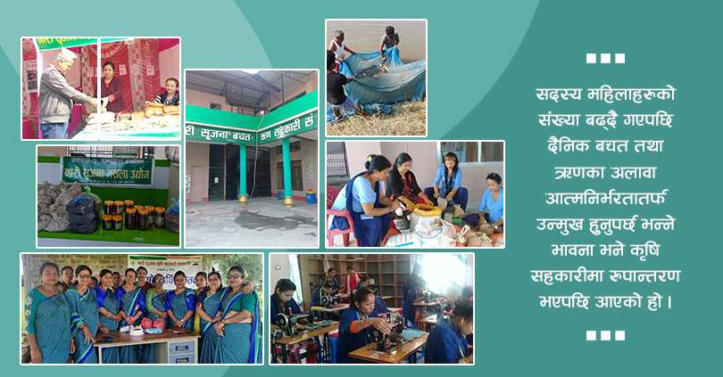 सहकारीमा महिलाहरुको उडान : बहुउदेश्यीयबाट कृषिमा रुपान्तरण गरी व्यवसायीकतातर्फ 