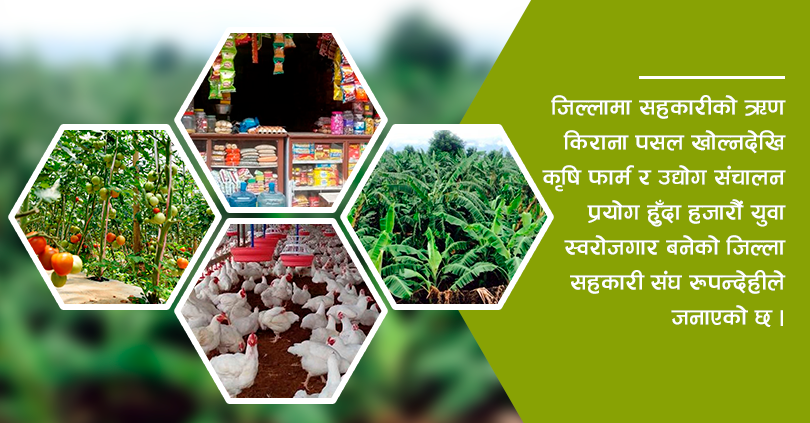 किराना पसलदेखि कृषिजन्य उद्योगमा सहकारीको लगानी 