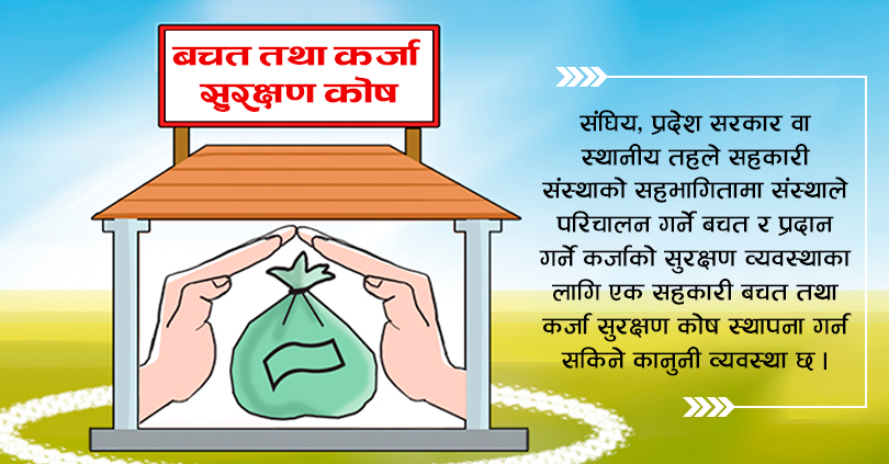 सहकारीमा जोखिम बढ्दै : बचत तथा कर्जा सुरक्षण कोष स्थापनामा वेवास्ता 