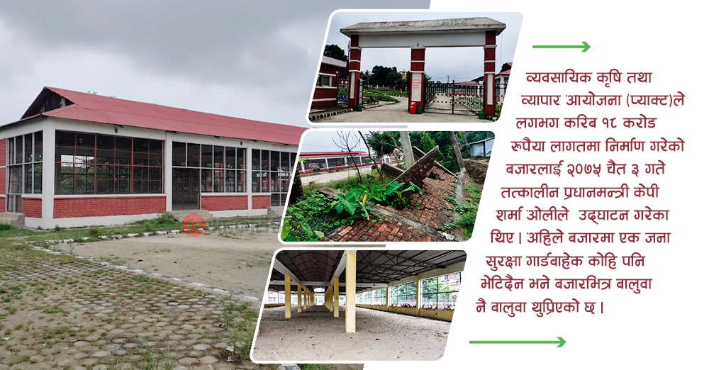 १८ करोडमा बनेको कृषि बजारमा बालुवाको थुप्रो, सहकारीले पनि संचालन गर्न सकेन 