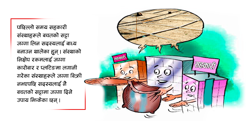 सदस्य फकाउदै सहकारीका संचालक, बचतको सट्टा जग्गाको प्रलोभन 