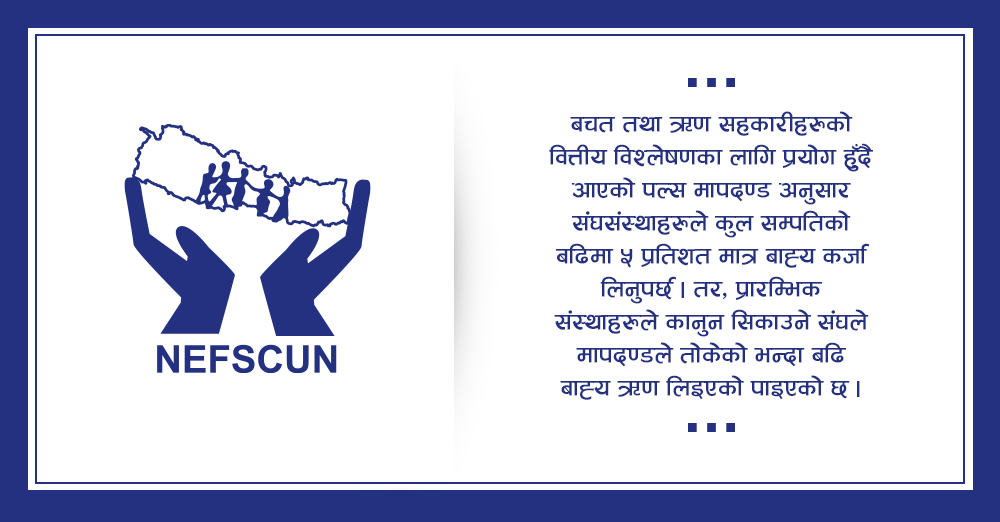 नेफ्स्कूनको बाह्य ऋण ३३० प्रतिशतले बढ्यो, पल्सको मापदण्ड भन्दा बढि