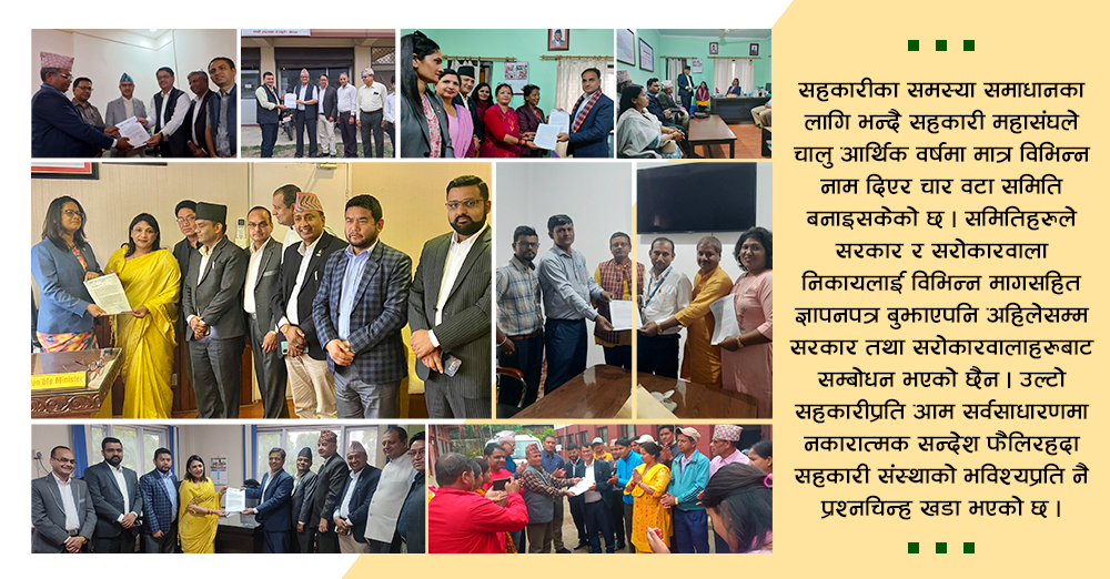 समस्या समाधान संयोजन समिति पनि ज्ञापनपत्रकै बाटोमा 