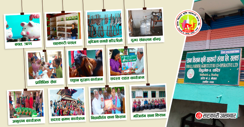 सानाकिसान कृषि सहकारी सलाङमा ६७ प्रतिशत ऋणी सदस्य