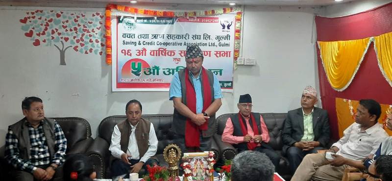 नेतृत्वमा पोलिटिकल बायसनेसको समस्या छ : वरिष्ठ उपाध्यक्ष ढकाल 