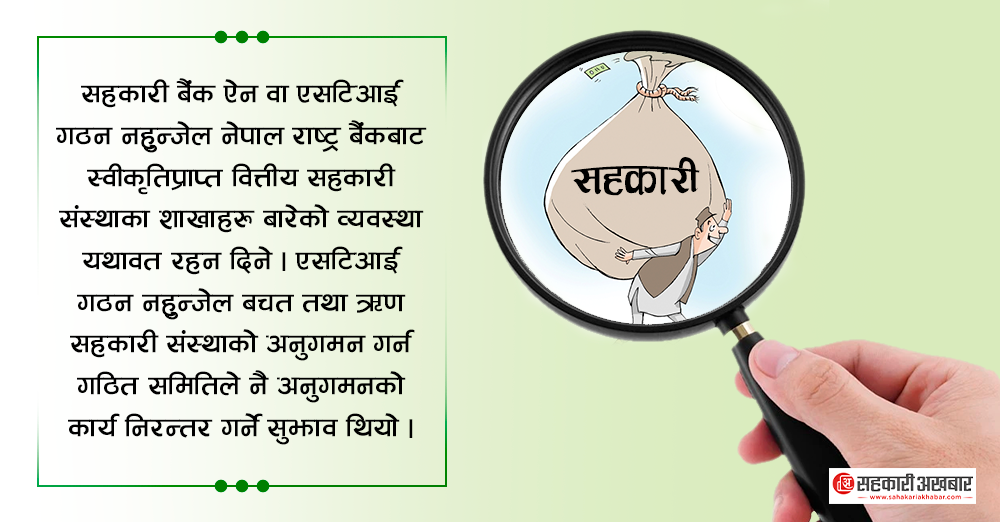 सहकारीमा ‘एसटिआई’ गठनको सुझाव १९ वर्षमा पनि भएन कार्यन्वयन