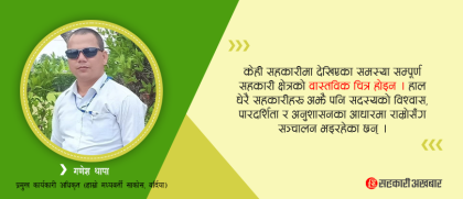 संचालक र ब्यवस्थापन दुवैले आफ्नो भूमिका र सीमाको सम्मान गर्दामात्र संस्था दिगो हुन्छ