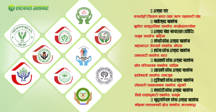 यस्ता छन् वर्ष ८२ का नेफ्स्कूनले घोषणा गरेका उत्कृष्ट साकोसहरु