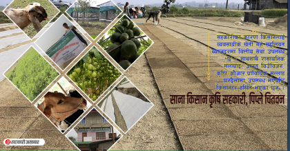 किन दुख्यो ! साना किसानको ‘चित्त’