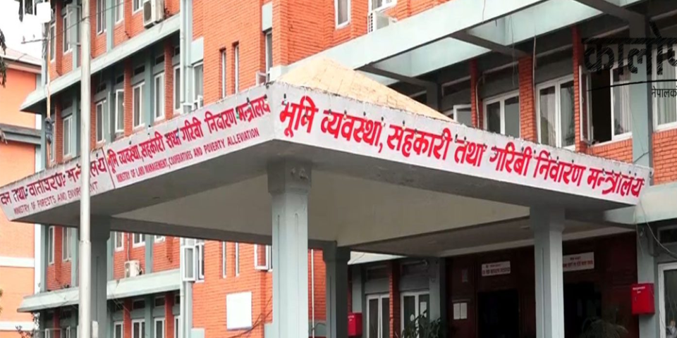 बचत फिर्ताकोलागि चक्रीयकोषको कार्यविधि जारी, को को पर्नेछन पहिलो प्राथमिकतामा ?